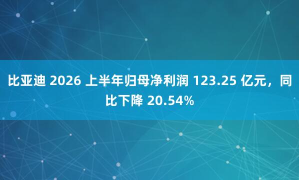 比亚迪 2026 上半年归母净利润 123.25 亿元，同比下降 20.54%
